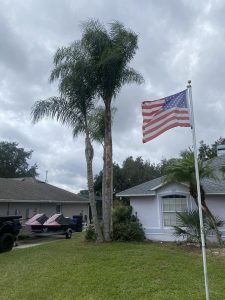 A flag waves proudly in front of a charming house, adding a touch of color to the serene setting.