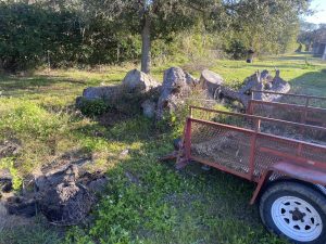 A trailer filled with a large pile of rocks sits in a yard, surrounded by grass and a clear blue sky.