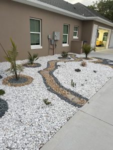 Gravel driveway bordered by lush plants and scattered rocks, creating a natural and inviting landscape.