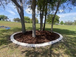 A circular stone path encircles a tree in a serene park setting, inviting visitors to enjoy nature.