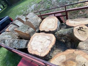 A truck loaded with logs parked on the ground, showcasing its heavy cargo and rugged design.