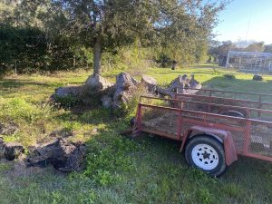 A cozy trailer beside a fire pit, with a lush tree providing shade in the background.