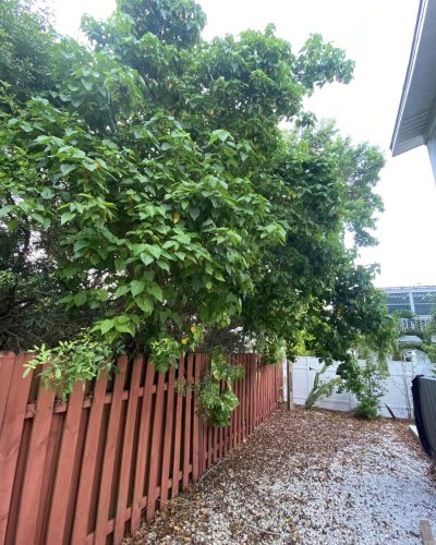 Image of the property at 515 S Ocean Drive, Fort Myers, Florida, showcasing its exterior and surrounding area.